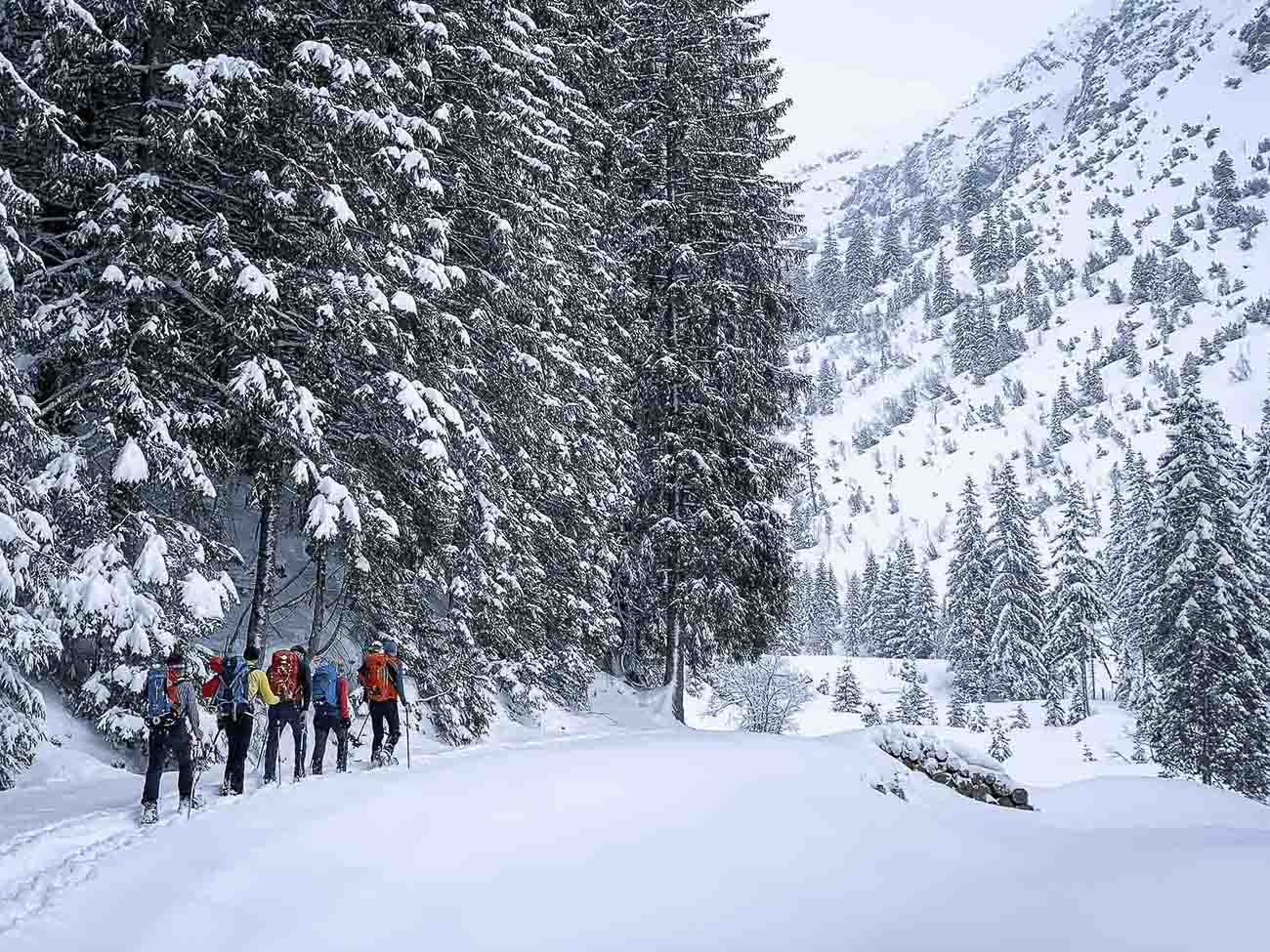 63_Veronika-Mangold-Bergwanderfuehrerin-00003 11